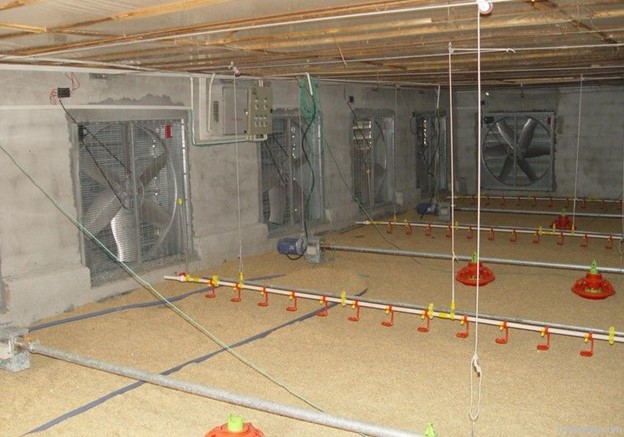 هواکش مرغداری قابدار